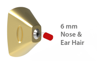 ear